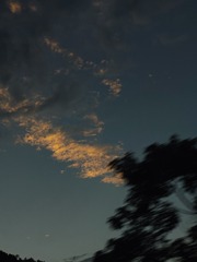 1000051757