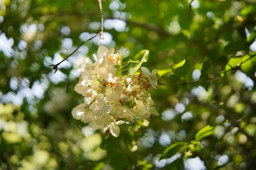 DSC01613
