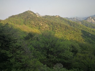 201153