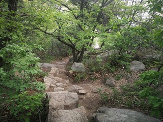 201155