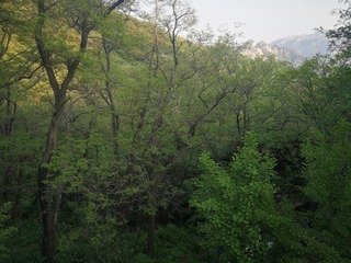 201150
