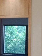 1205454