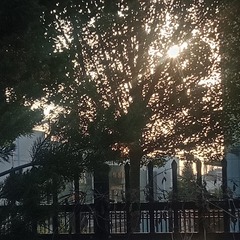 1201762
