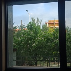 1205453