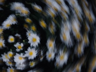 1000007864