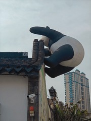 1000025943