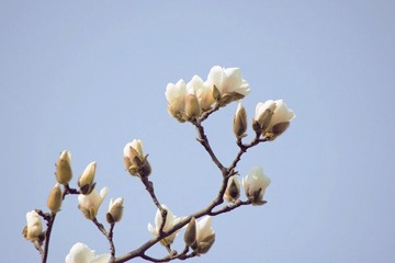 IMGP2238副本.jpg