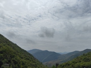 1000003791