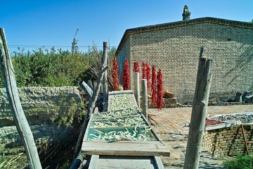 SDIM0924