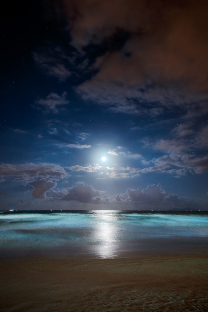 深更半夜自己决定扛着相机去海边走走。带着咸味的海风连同海浪一起呼啸着，远处的圆月静静注视着流动的云。目光所及的远方，能看到几艘渔船默默闪动着灯光。<br />
2015.12.3 Canon EOS 5D Mark III