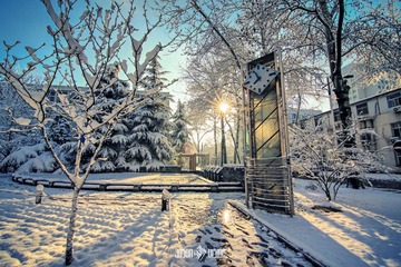 20130320春雪2