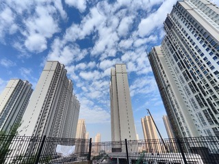 1000048781