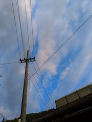 1000008045