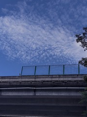 1000006824