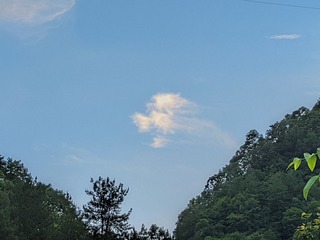 1000008081
