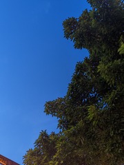 1000003024