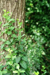 DSC09281.jpg
