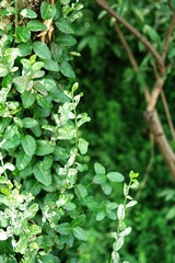 DSC09284.jpg
