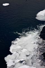 IMG_7241.jpg