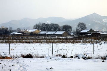 IMG_7218_副本.jpg