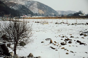 IMG_7224_副本.jpg