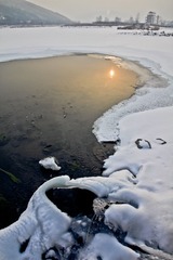IMG_7232.jpg
