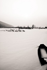 IMG_7230.jpg