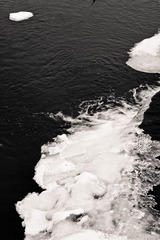 IMG_7241.jpg