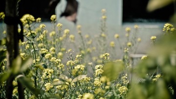 DSCF3213.jpg