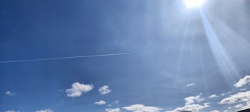 1000027517