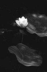 18070