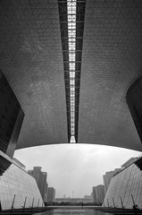 DSC_0840_1_2_3_4_fused.jpg