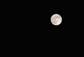 DSC_1552.jpg