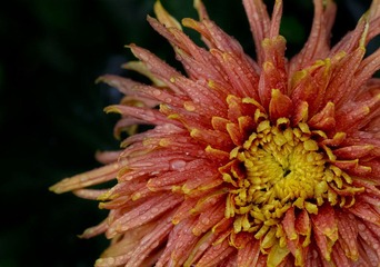 DSC_5758.jpg