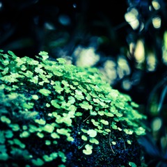 DSC_8581_DxO.jpg