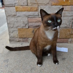 DSC_9887_DxO.jpg