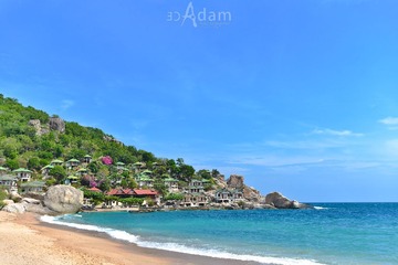 DSC_9552_DxO.jpg