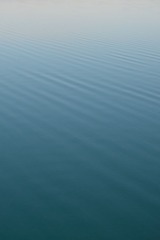 DSC_2877.jpg