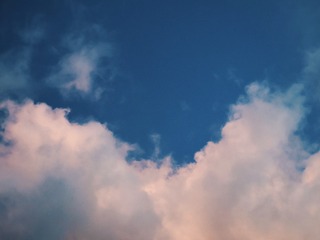 1000010686