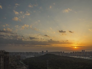 1000133341