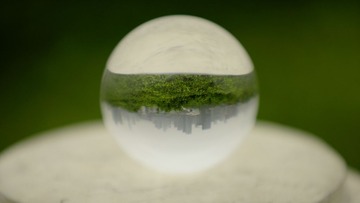 _DSC0514
