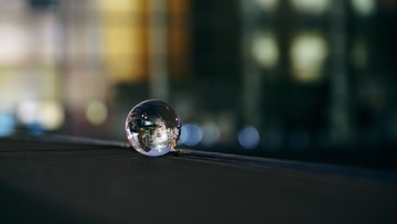 _DSC0560
