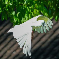 001