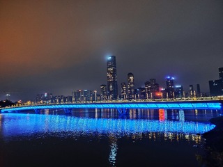 646