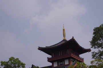 IMGP2862.JPG