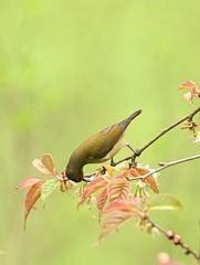 DSC_2127_01