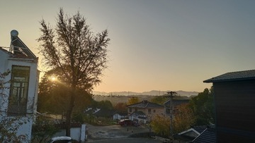 1000235533