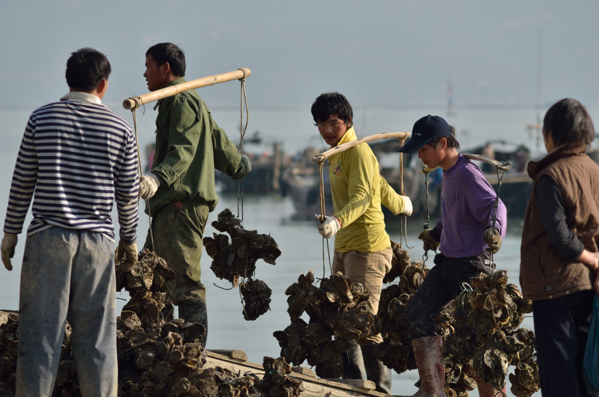挑起生活的担子