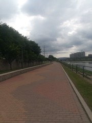 273307