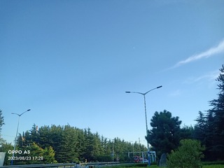 1000022712